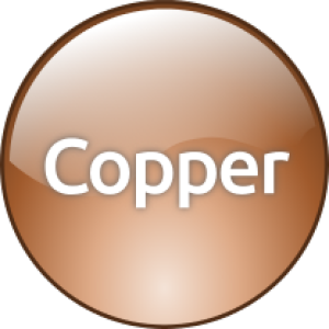 Copper Level Total Service Agreement (TSA) - Copper Level TSA